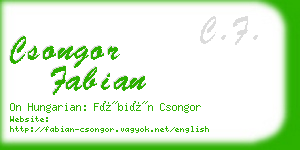 csongor fabian business card